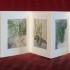 livre fleurs de pav   livre 1 15x15 photos num  riques sur papier japon 1