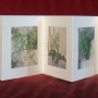 livre fleurs de pav   livre 1 15x15 photos num  riques sur papier japon 1