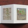 livre fleurs de pav   livre 1 15x15 photos num  riques sur papier japon 2