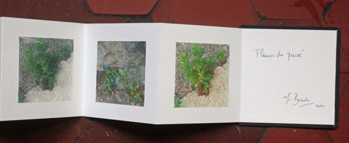 livre fleurs de pav   livre 1 15x15 photos num  riques sur papier japon 4 livre fleurs de pav   livre 1 15x15 photos num  riques sur papier japon 4