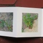 livre fleurs de pav   livre 1 15x15 photos num  riques sur papier japon 4