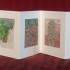 livre fleurs de pav   livre 2 15x15 photos num  riques sur papier japon 1