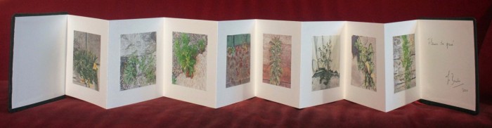 livre fleurs de pav   livre 2 15x15 photos num  riques sur papier japon 1 livre fleurs de pav   livre 2 15x15 photos num  riques sur papier japon 1