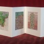 livre fleurs de pav   livre 2 15x15 photos num  riques sur papier japon 1