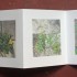 livre fleurs de pav   livre 2 15x15 photos num  riques sur papier japon 2