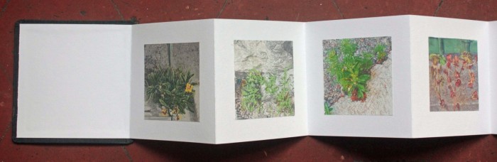 livre fleurs de pav   livre 2 15x15 photos num  riques sur papier japon 2 livre fleurs de pav   livre 2 15x15 photos num  riques sur papier japon 2