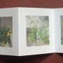 livre fleurs de pav   livre 2 15x15 photos num  riques sur papier japon 2