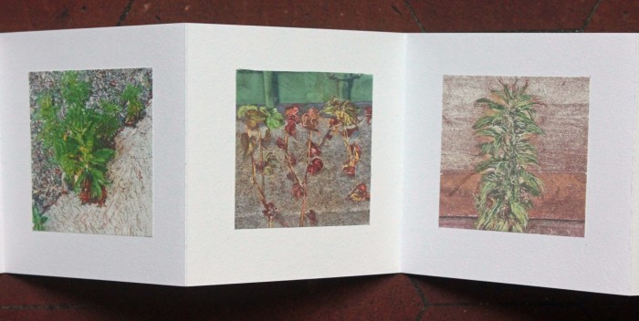 livre fleurs de pav   livre 2 15x15 photos num  riques sur papier japon 3 livre fleurs de pav   livre 2 15x15 photos num  riques sur papier japon 3