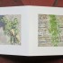 livre fleurs de pav   livre 2 15x15 photos num  riques sur papier japon 4