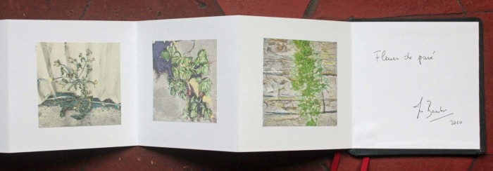 livre fleurs de pav   livre 2 15x15 photos num  riques sur papier japon 4 livre fleurs de pav   livre 2 15x15 photos num  riques sur papier japon 4