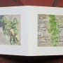 livre fleurs de pav   livre 2 15x15 photos num  riques sur papier japon 4