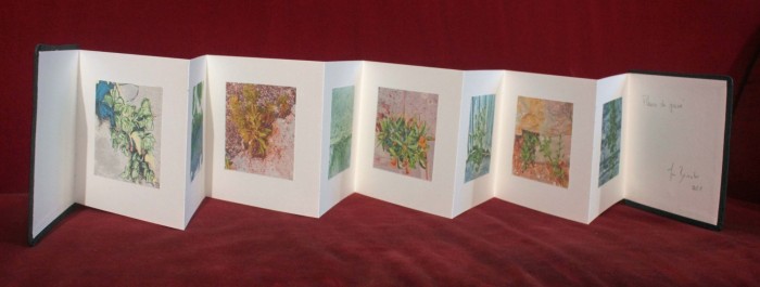 livre fleurs de pav   livre 3 15x15 photos num  riques sur papier japon 1 livre fleurs de pav   livre 3 15x15 photos num  riques sur papier japon 1