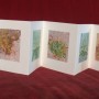 livre fleurs de pav   livre 3 15x15 photos num  riques sur papier japon 1