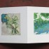 livre fleurs de pav   livre 3 15x15 photos num  riques sur papier japon 2