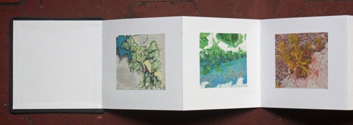 livre fleurs de pav   livre 3 15x15 photos num  riques sur papier japon 2 livre fleurs de pav   livre 3 15x15 photos num  riques sur papier japon 2