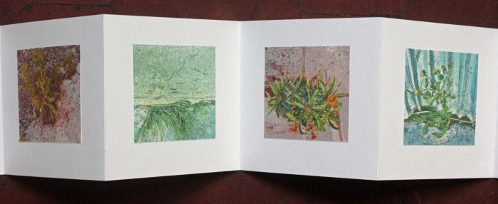 livre fleurs de pav   livre 3 15x15 photos num  riques sur papier japon 3 livre fleurs de pav   livre 3 15x15 photos num  riques sur papier japon 3