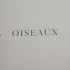 oiseaux impression numerique sur aluminium 31cm x 23 cm 2021 