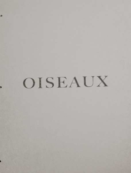 oiseaux impression numerique sur aluminium 31cm x 23 cm 2021 