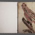 oiseaux impression numerique sur aluminium 31cm x 23 cm 2021 1 fond texture