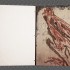 oiseaux impression numerique sur aluminium 31cm x 23 cm 2021 2 fond texture