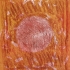 ronde stellaire 1 eau forte 65x50 2012